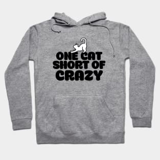 One cat short of crazy Hoodie